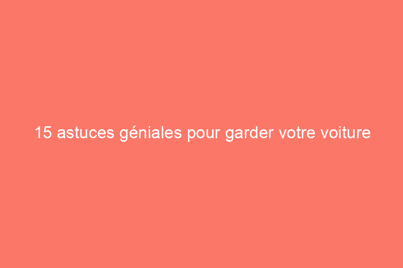 15 astuces géniales pour garder votre voiture propre