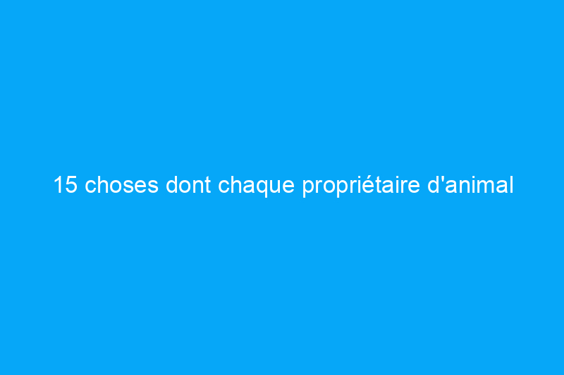 15 choses dont chaque propriétaire d'animal a besoin pour une maison propre