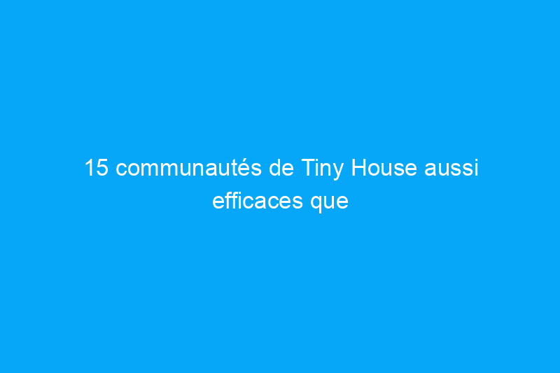 15 communautés de Tiny House aussi efficaces que charmantes