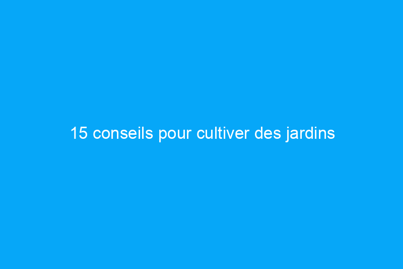 15 conseils pour cultiver des jardins d'herbes aromatiques