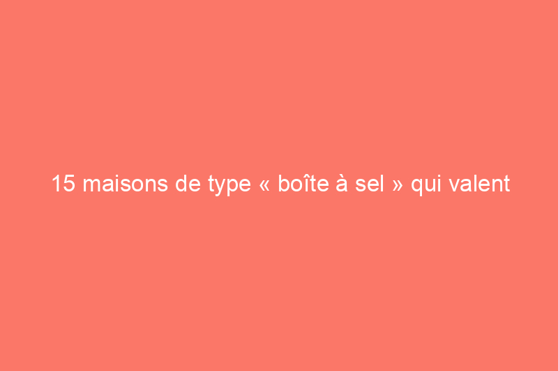 15 maisons de type « boîte à sel » qui valent leur pesant d'or