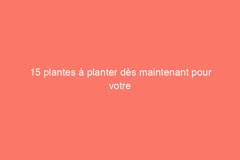 15 plantes à planter dès maintenant pour votre potager d'automne