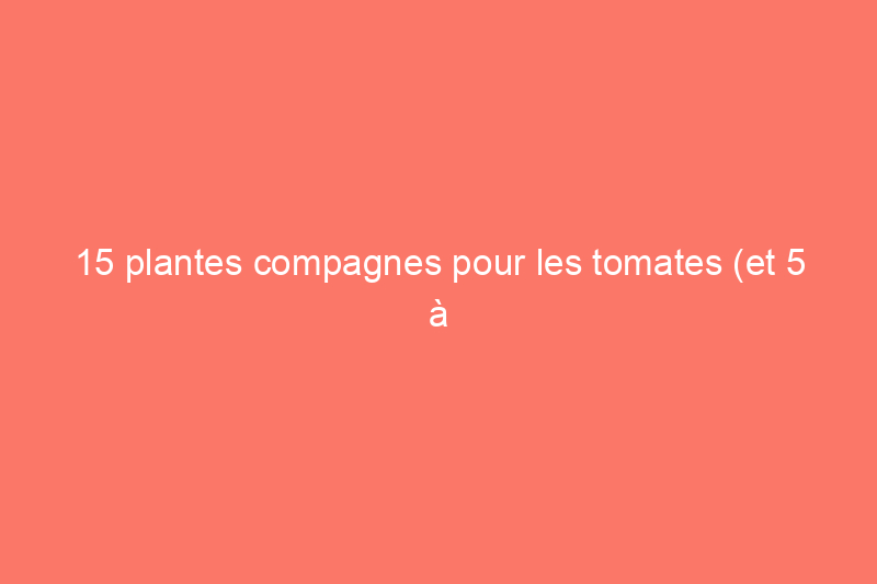 15 plantes compagnes pour les tomates (et 5 à éviter) pour une récolte optimale