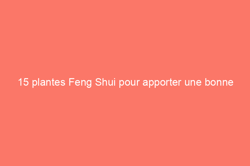 15 plantes Feng Shui pour apporter une bonne énergie dans votre maison