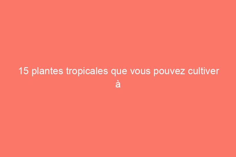 15 plantes tropicales que vous pouvez cultiver à l'intérieur (s'il fait trop froid dehors)