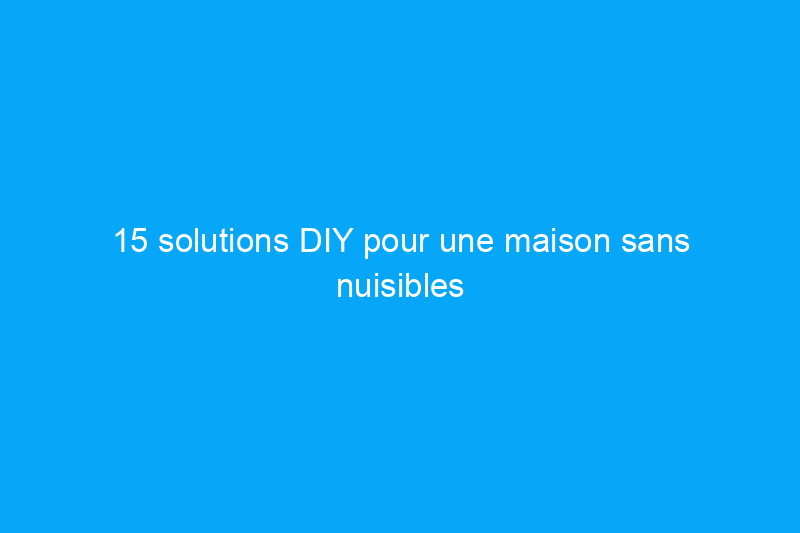 15 solutions DIY pour une maison sans nuisibles