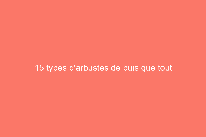 15 types d'arbustes de buis que tout paysagiste amateur devrait connaître