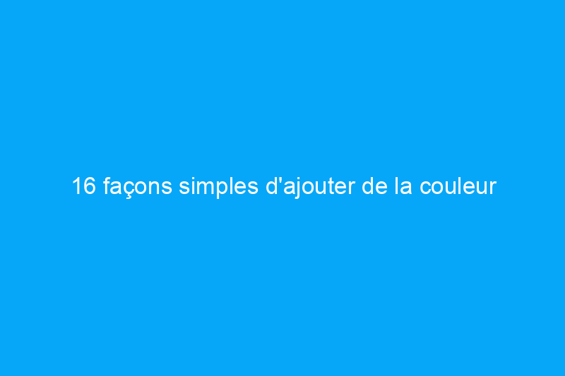 16 façons simples d'ajouter de la couleur à votre cuisine blanche sans peindre tous vos placards