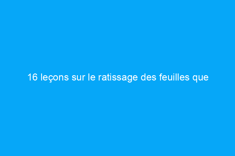 16 leçons sur le ratissage des feuilles que personne ne vous a jamais enseignées