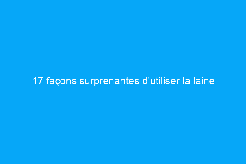 17 façons surprenantes d'utiliser la laine d'acier dans la maison