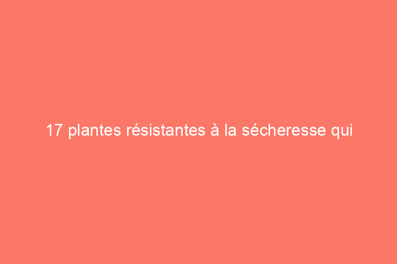 17 plantes résistantes à la sécheresse qui peuvent survivre aux périodes de sécheresse