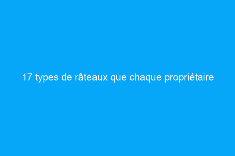 17 types de râteaux que chaque propriétaire devrait connaître