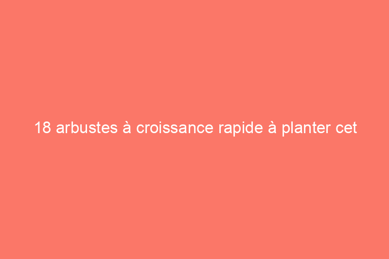 18 arbustes à croissance rapide à planter cet automne