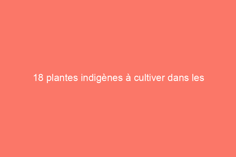 18 plantes indigènes à cultiver dans les jardins xéropaysagistes (par région)