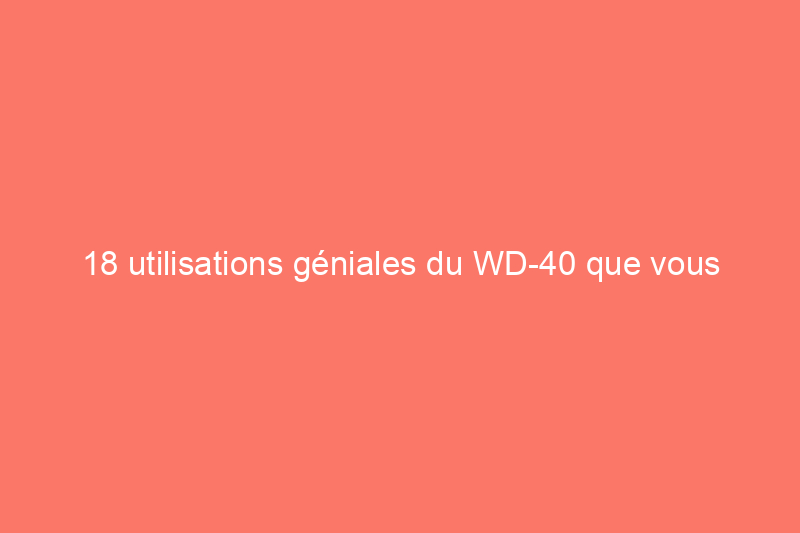 18 utilisations géniales du WD-40 que vous n'avez pas encore essayées, mais que vous devriez essayer