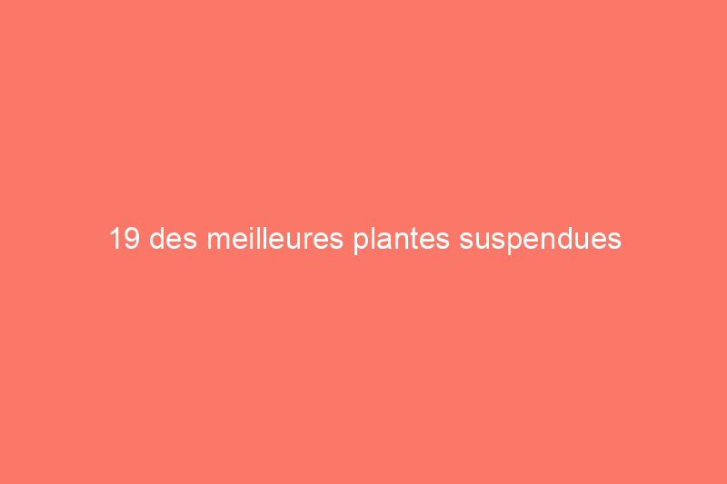 19 des meilleures plantes suspendues d'intérieur