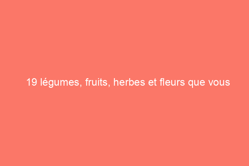 19 légumes, fruits, herbes et fleurs que vous pouvez encore planter dans le jardin ce mois-ci