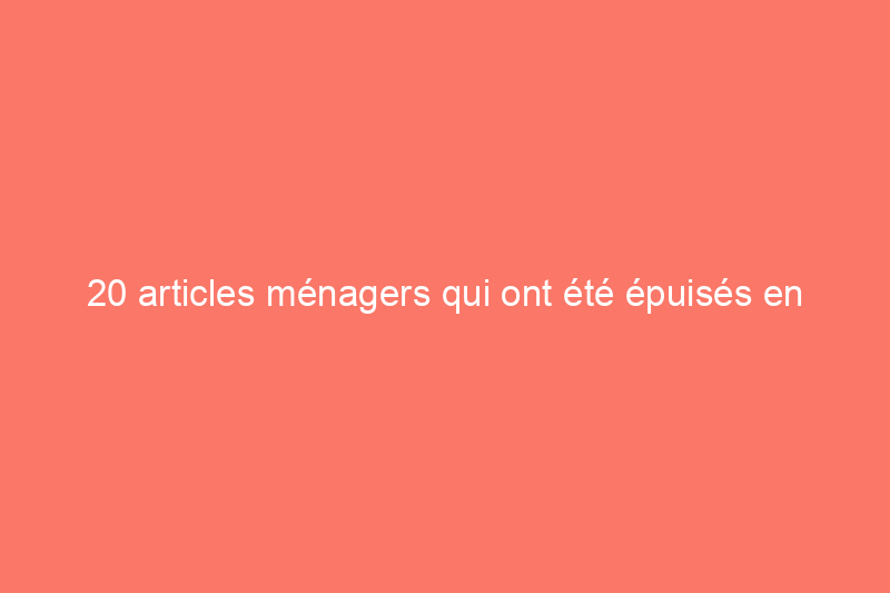 20 articles ménagers qui ont été épuisés en 2020