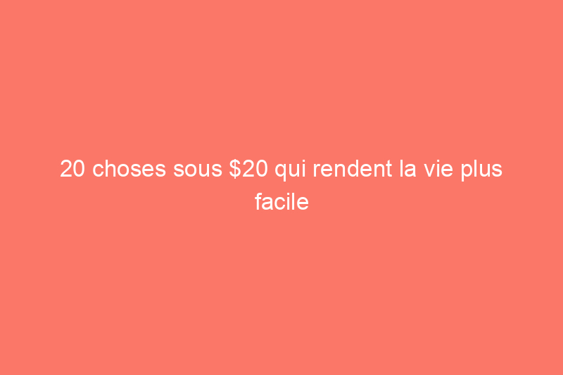 20 choses sous $20 qui rendent la vie plus facile