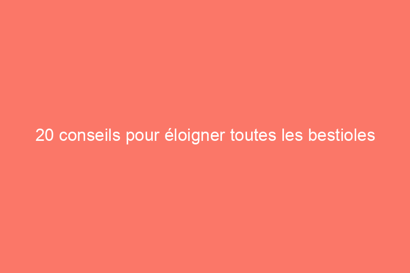 20 conseils pour éloigner toutes les bestioles de votre cour et de votre jardin