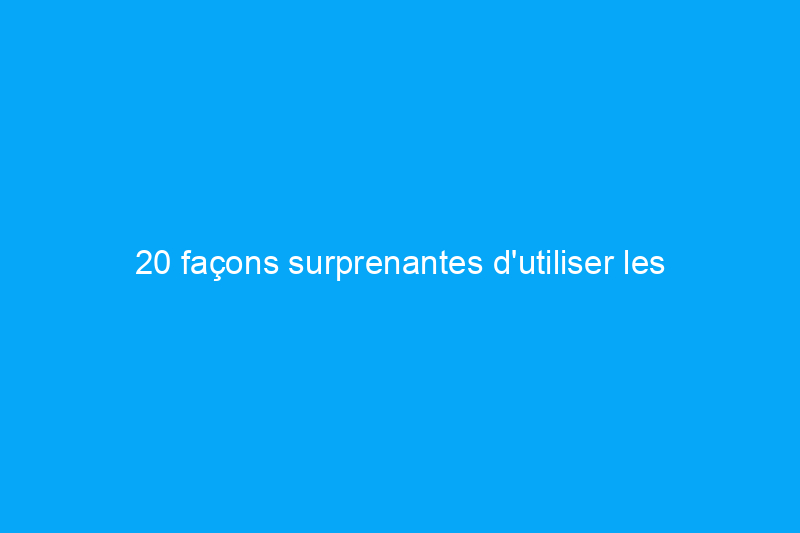 20 façons surprenantes d'utiliser les cendres de votre foyer ou de votre cheminée