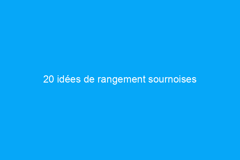 20 idées de rangement sournoises