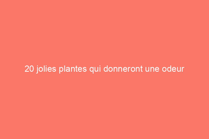 20 jolies plantes qui donneront une odeur agréable à votre jardin