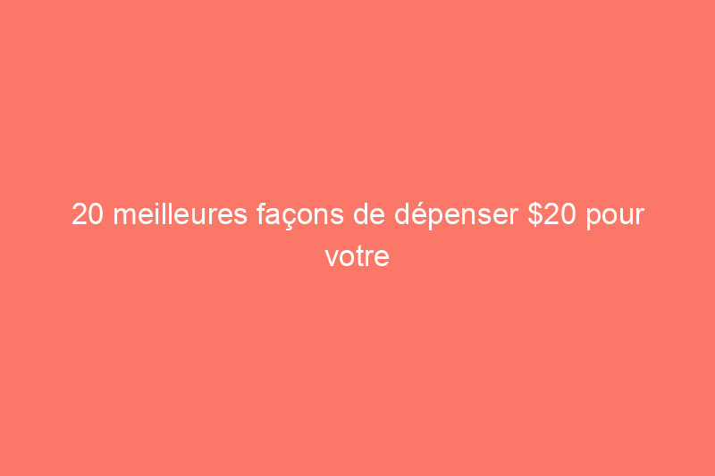 20 meilleures façons de dépenser $20 pour votre maison