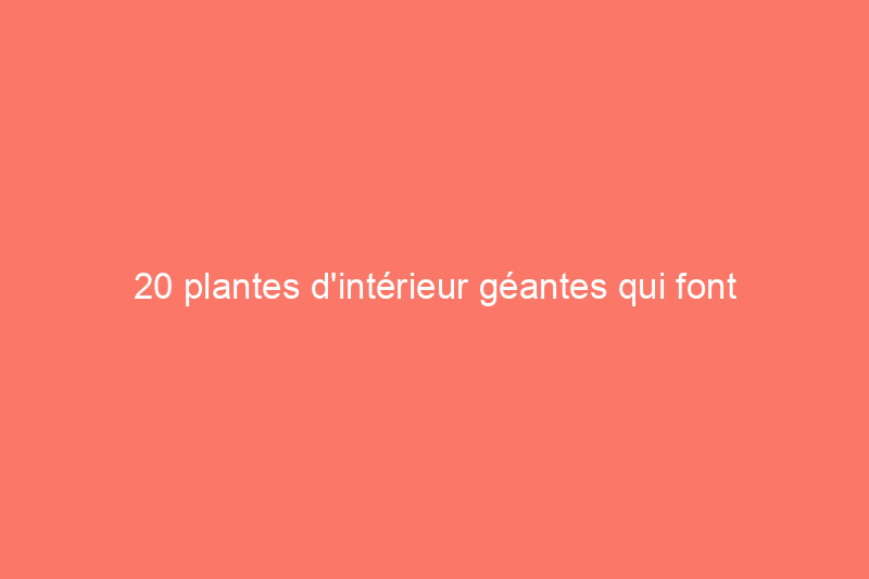 20 plantes d'intérieur géantes qui font sensation