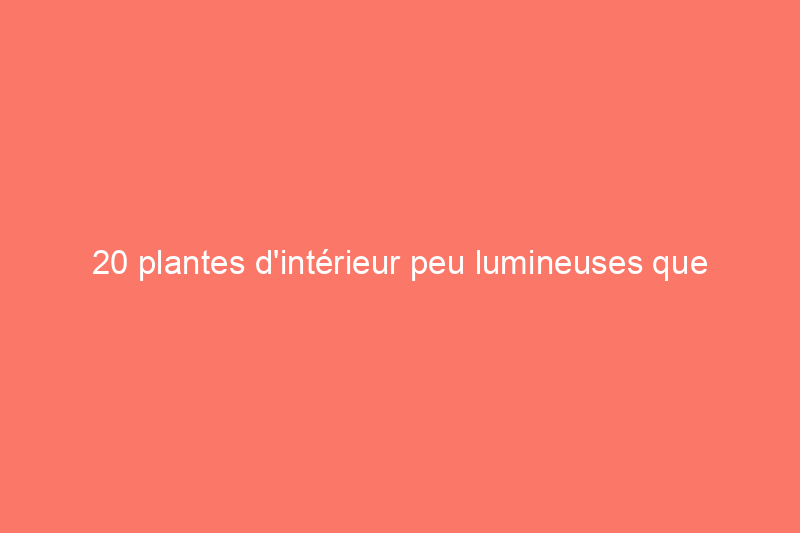 20 plantes d'intérieur peu lumineuses que vous pouvez cultiver pratiquement n'importe où