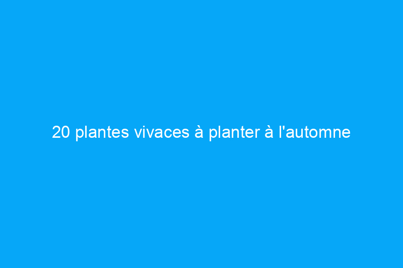 20 plantes vivaces à planter à l'automne pour de belles fleurs printanières