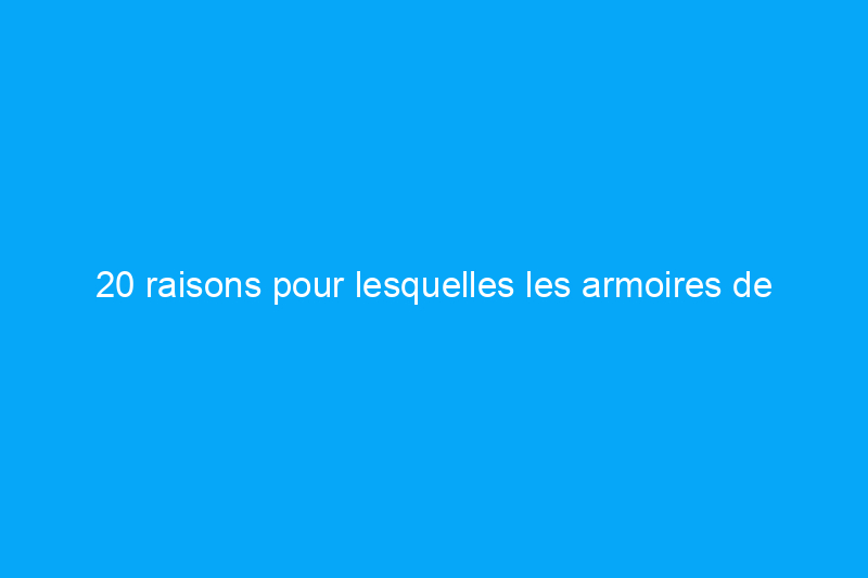 20 raisons pour lesquelles les armoires de cuisine bicolores sont toujours à la mode