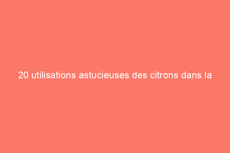 20 utilisations astucieuses des citrons dans la maison