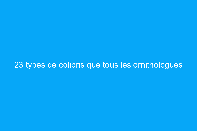 23 types de colibris que tous les ornithologues amateurs devraient connaître