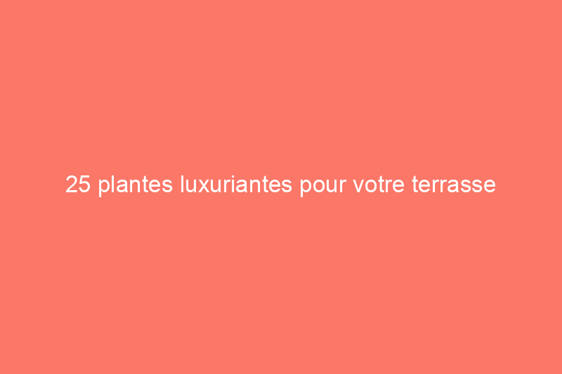 25 plantes luxuriantes pour votre terrasse extérieure