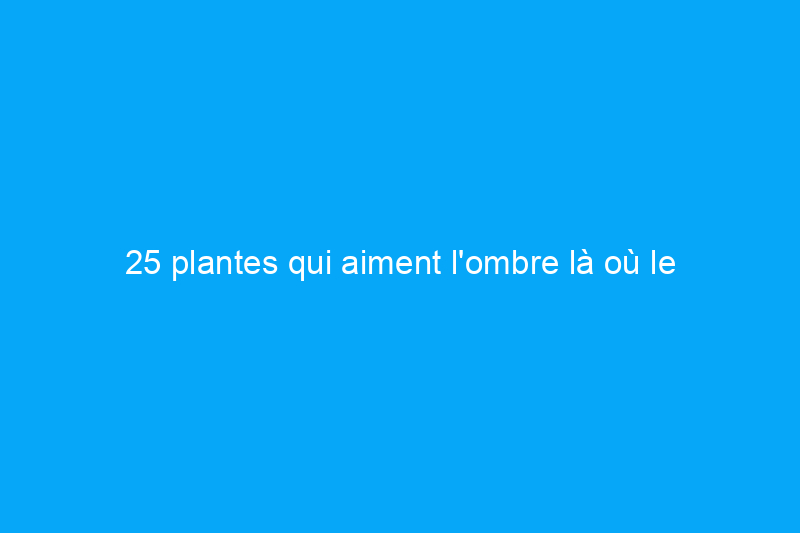 25 plantes qui aiment l'ombre là où le soleil ne brille pas