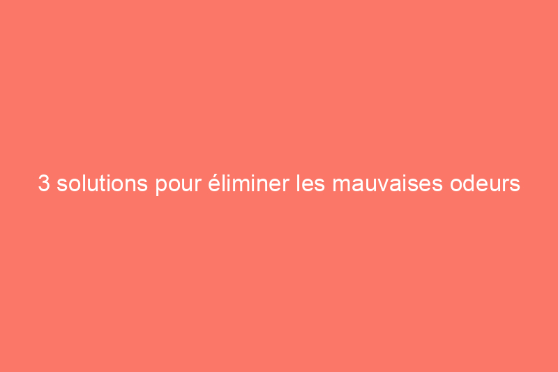 3 solutions pour éliminer les mauvaises odeurs de la poubelle