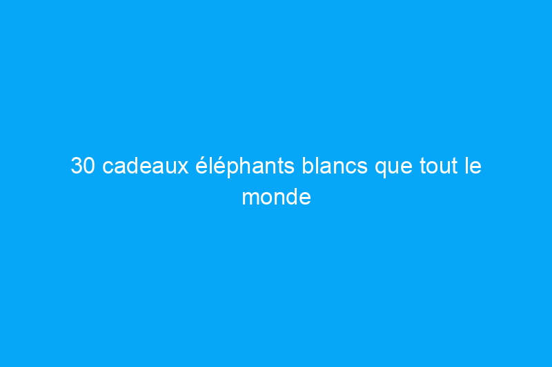 30 cadeaux éléphants blancs que tout le monde voudra voler – tous à moins de $25 chez Target