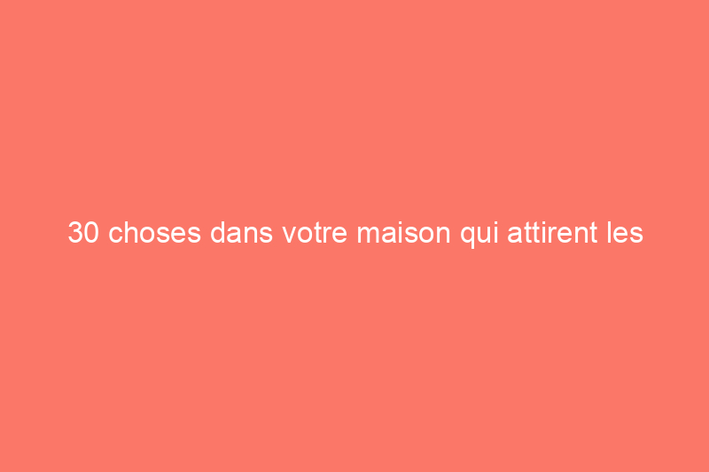 30 choses dans votre maison qui attirent les insectes et les rongeurs