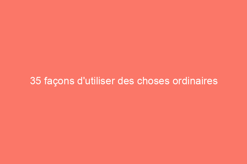 35 façons d'utiliser des choses ordinaires de manière extraordinaire