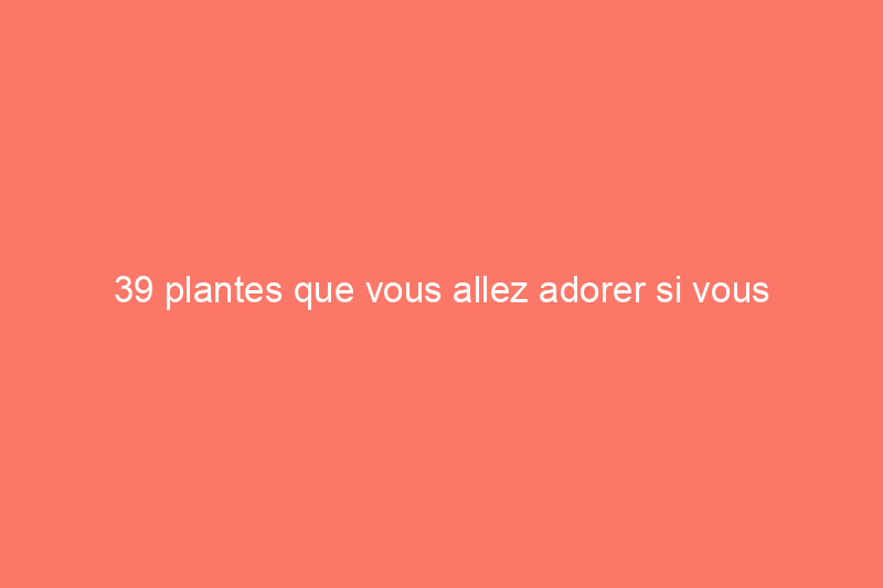 39 plantes que vous allez adorer si vous détestez les travaux de jardinage d'automne