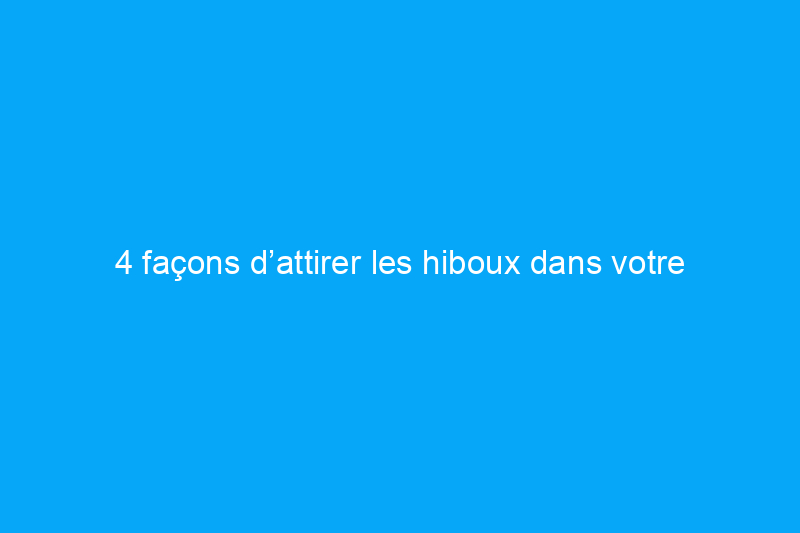 4 façons d’attirer les hiboux dans votre jardin – et pourquoi vous devriez le faire