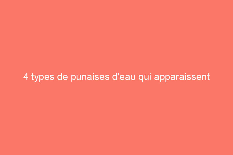 4 types de punaises d'eau qui apparaissent dans les piscines et que faire à leur sujet