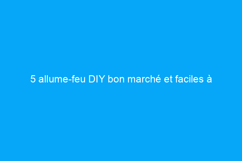 5 allume-feu DIY bon marché et faciles à fabriquer en quelques minutes