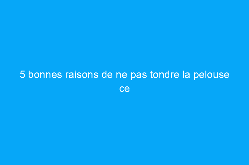 5 bonnes raisons de ne pas tondre la pelouse ce week-end