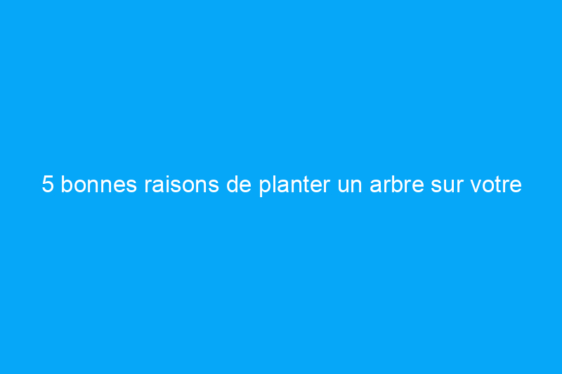 5 bonnes raisons de planter un arbre sur votre propriété