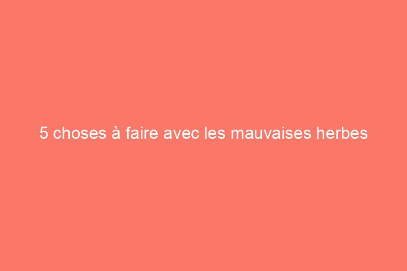 5 choses à faire avec les mauvaises herbes après les avoir arrachées