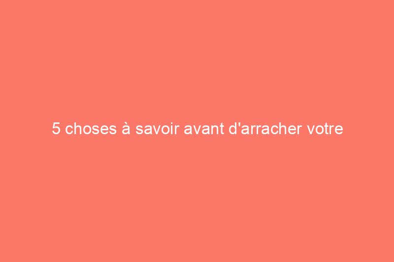 5 choses à savoir avant d'arracher votre moquette