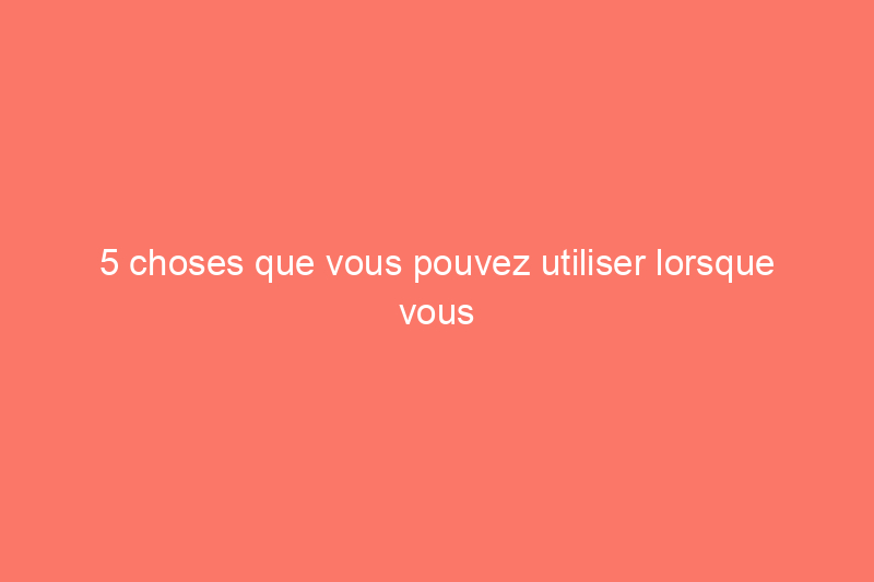 5 choses que vous pouvez utiliser lorsque vous n'avez pas de grattoir à glace