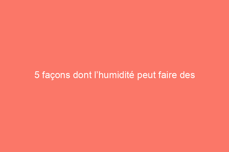 5 façons dont l’humidité peut faire des ravages dans votre maison – et 5 façons de la combattre